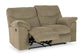 Alphons Reclining Loveseat-- Brair Color