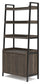 Zendex Bookcase Premier Furniture & Mattress